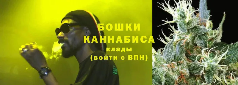 Бошки Шишки SATIVA & INDICA  где купить наркоту  Кубинка 